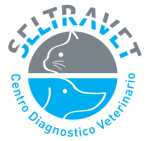 Centro Diagnostico Veterinario – Seltravet è il sito di medicina interna e cardiologia veterinaria e comparata del dott. Tranchese Giuseppe, utile all'aggiornamento scientifico.